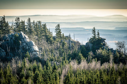 Landschaft im Harz