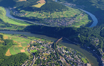 Mosel