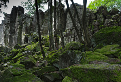 Steinwand in der Rhn