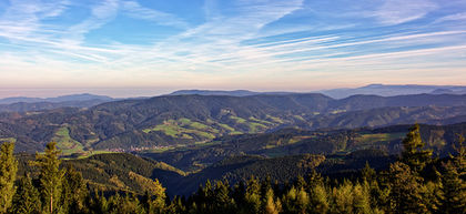 Schwarzwald