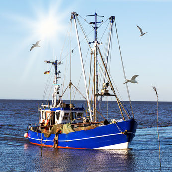 Krabbenkutter in der Nordsee